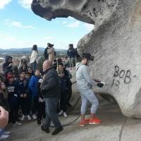 pulitura fungo Arzachena