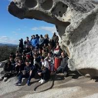pulitura fungo Arzachena